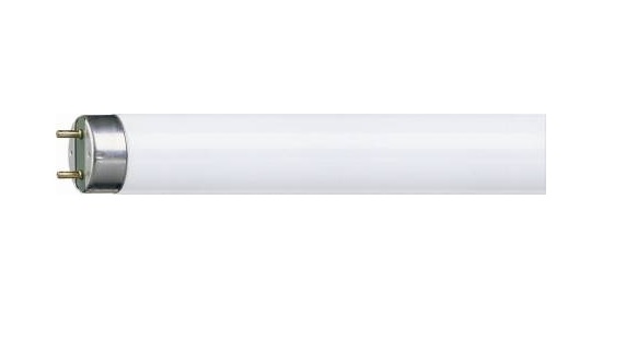 stijl Gewend geweer MASTER TL-D 36W / 840 fluorescent tube T8 socket G13 -  uvc-disinfection-lamps.com